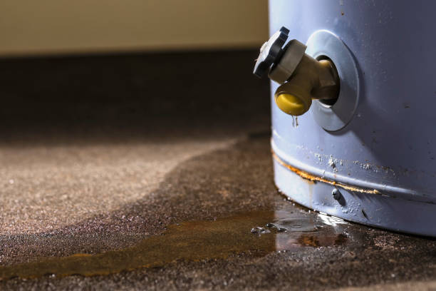 Chicago Ridge, IL Water damage restoration Company