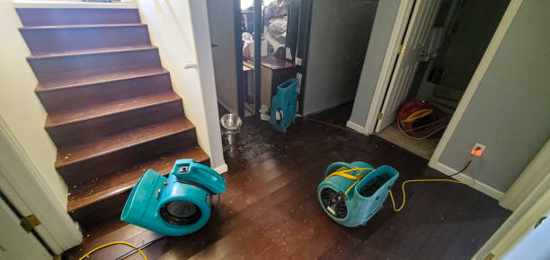 Best Emergency water damage restoration  in Chicago Ridge, IL