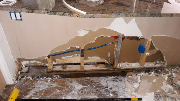 Best 24/7 water damage repair  in Chicago Ridge, IL