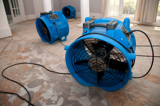 Best Carpet water damage restoration  in Chicago Ridge, IL