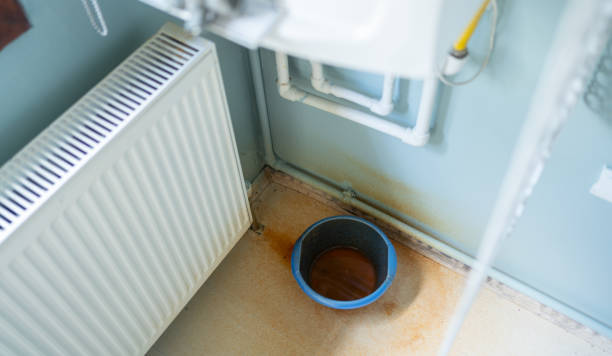 Best Fire Damage Restoration  in Chicago Ridge, IL