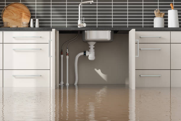 Best Emergency water damage restoration  in Chicago Ridge, IL