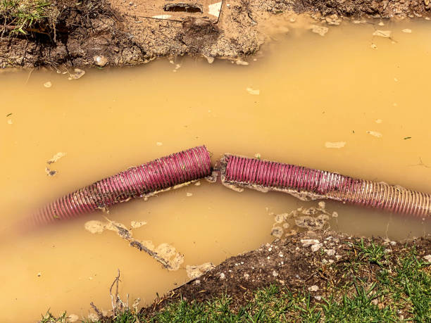 Best Carpet water damage restoration  in Chicago Ridge, IL