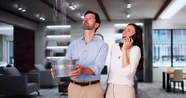 Best Water damage cleanup near me  in Chicago Ridge, IL