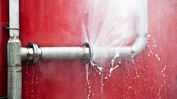 Best Water damage restoration mold remediation  in Chicago Ridge, IL